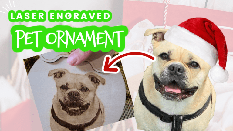 Adorable DIY Personal Pet Ornaments